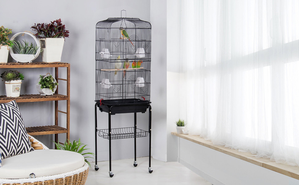 Bird Cage